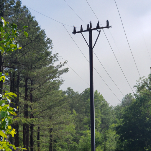 Understanding the Distinction: Power Linemen vs. Tree Trimmers